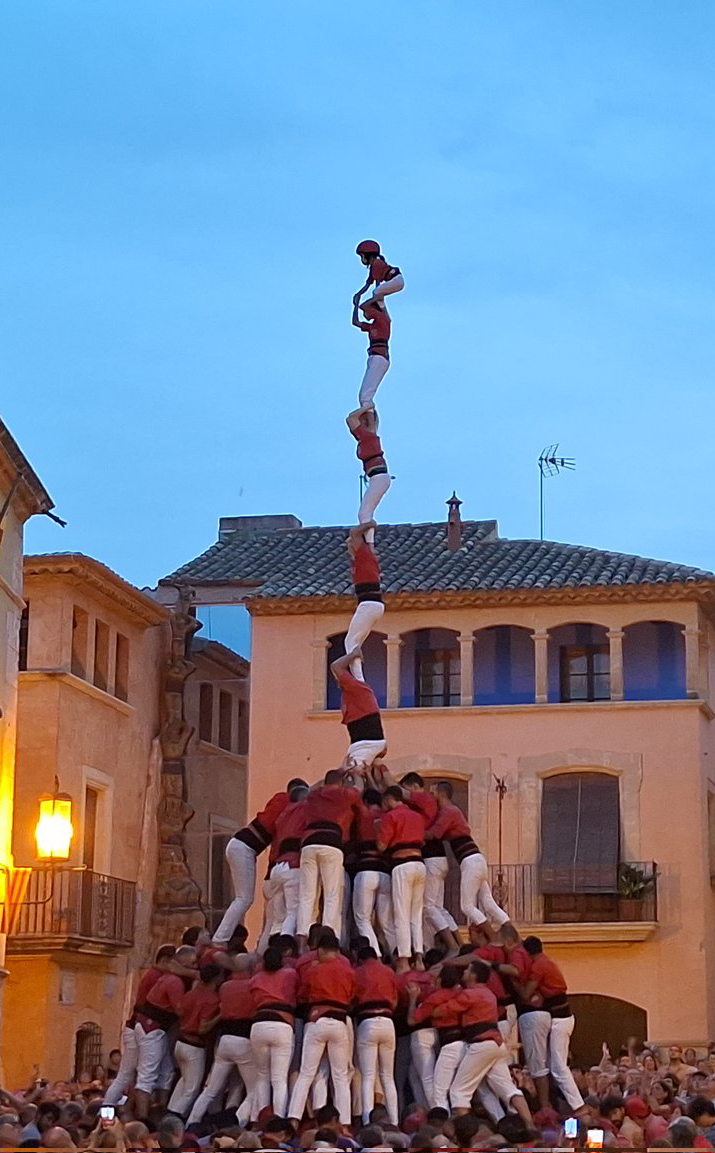 La pica en Flandes de la Joves
