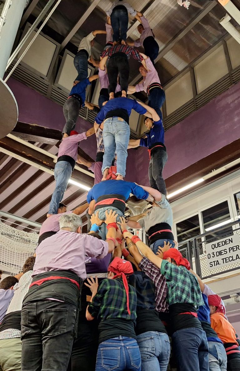 Deures i reptes per Santa Tecla