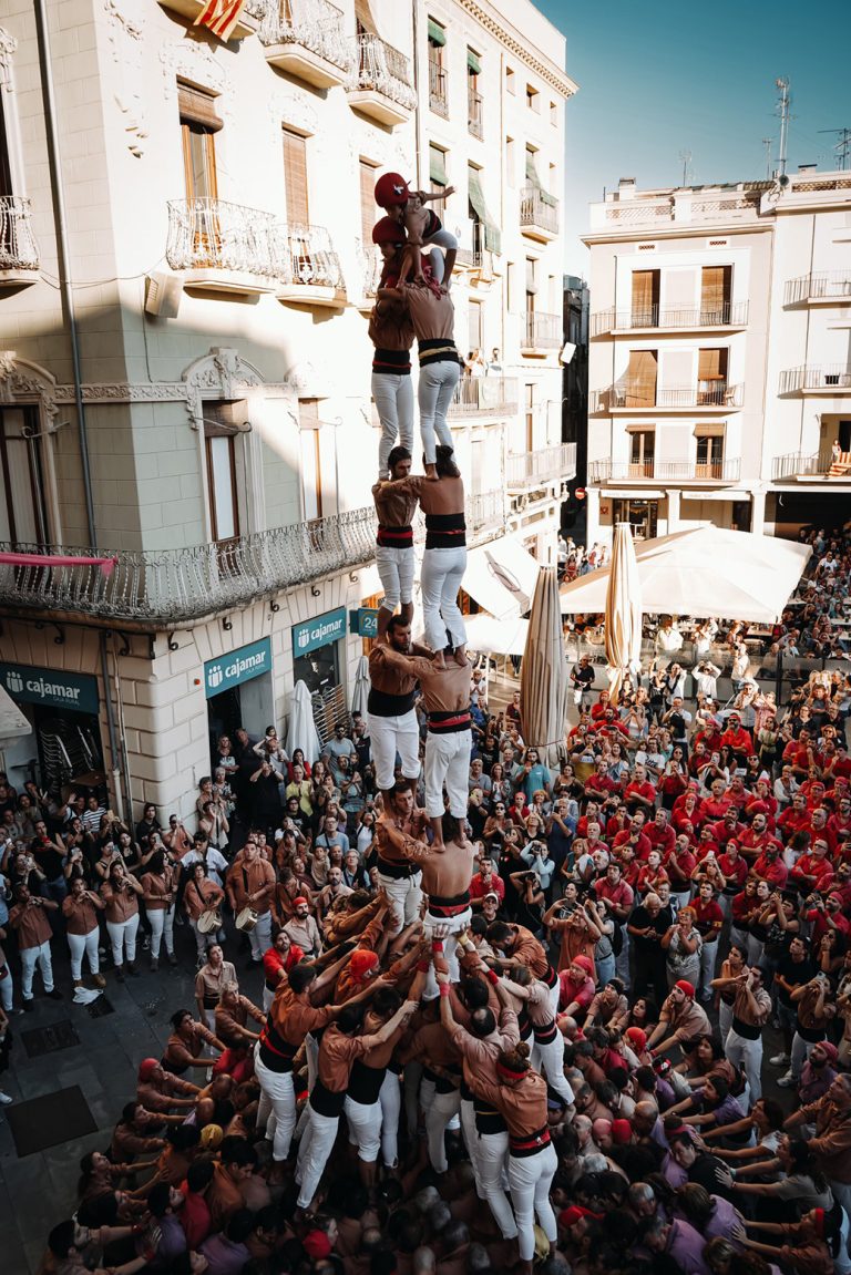 Revifada avellana