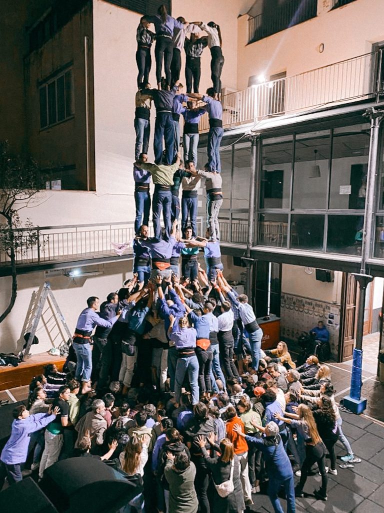 Aposta malva d’alt nivell a la plaça del Vi