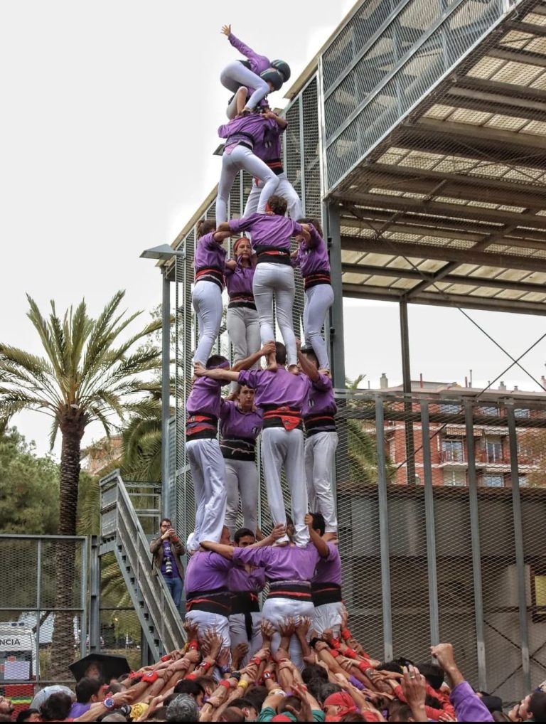 Les noves colles de 7 del segle XXI