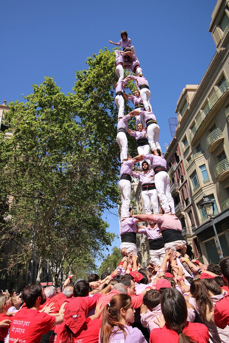 56 estrenes per part de 29 colles