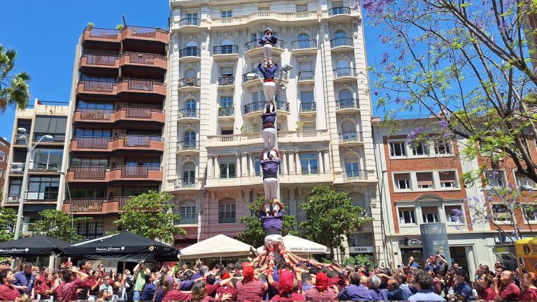 Una vintena de novetats per part de 14 colles