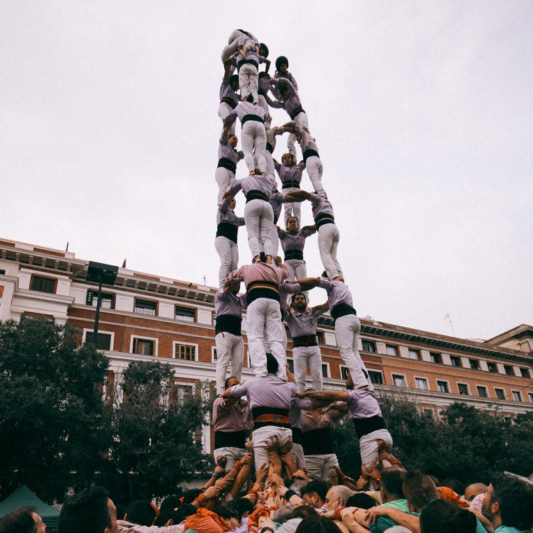 16 novetats al Baròmetre per part de 12 colles