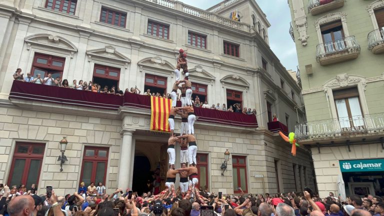 Clàssica avellana amb novetats al pom de dalt