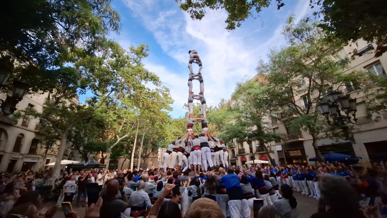Parèntesi estiuenc dels borinots per a pensar nous reptes