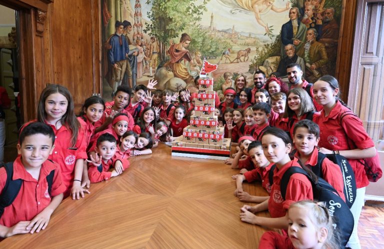 Una visió actual dels castells