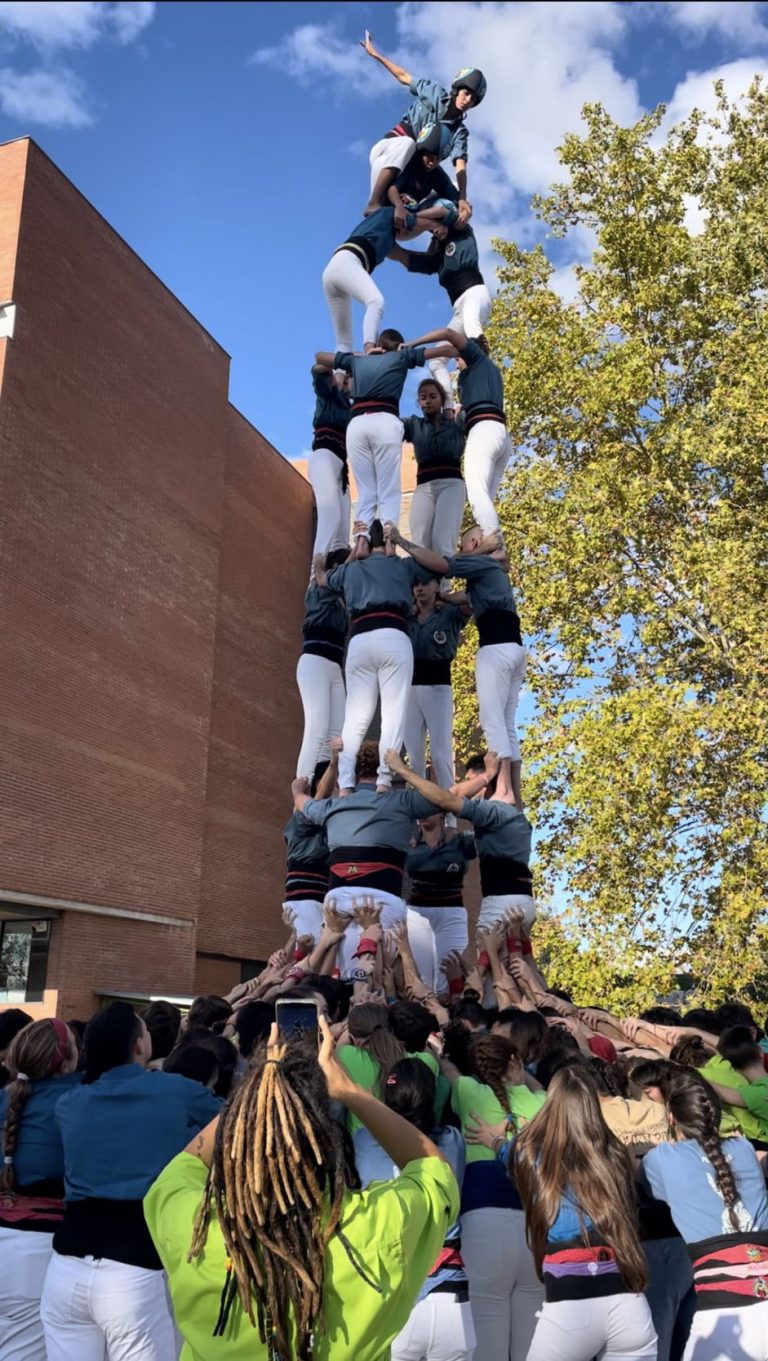 Doblet bàsic de 7 d’Arreplegats, Bergants i Ganàpies