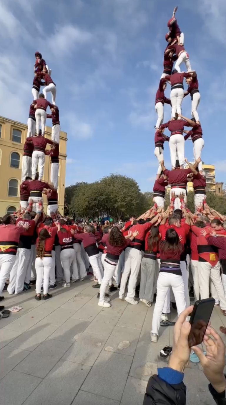Cloenda grana amb gamma mitjana de 7