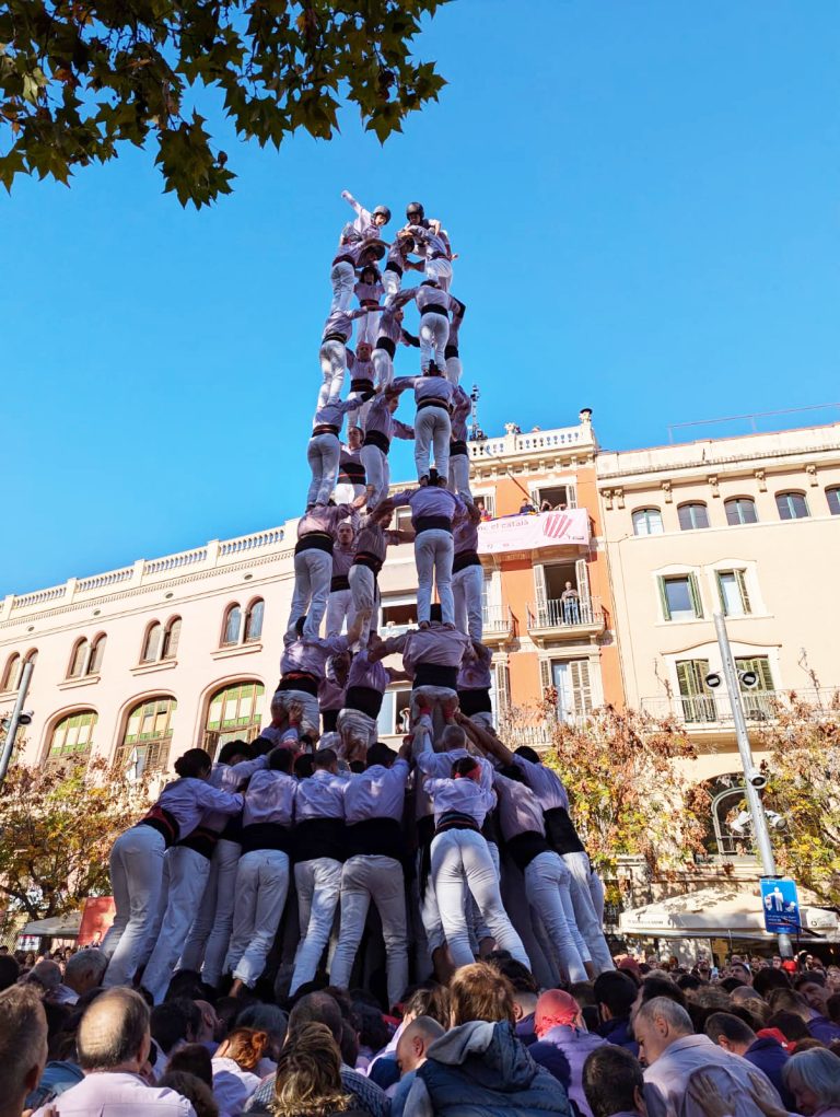 Resum 2024: Posada a punt malva per tornar a despuntar