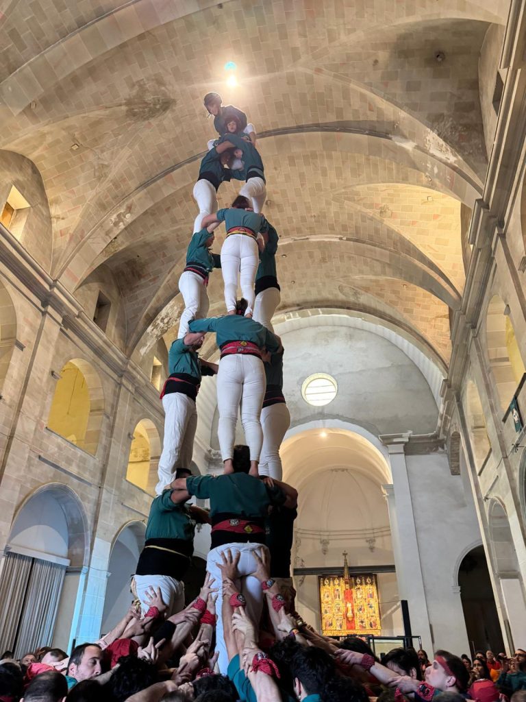 Fer més gran la gamma de 7 blau-verda