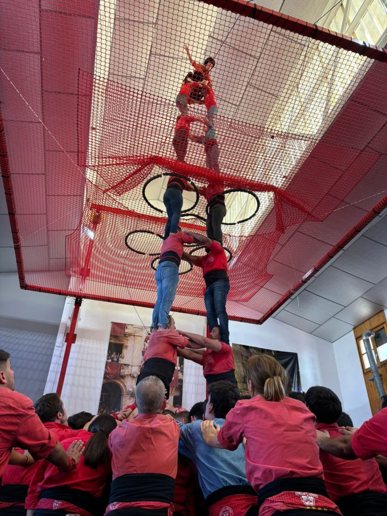La xarxa i els seus excessos