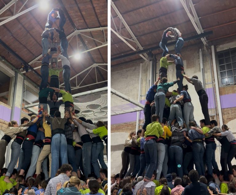 Tres colles amb opcions de 8