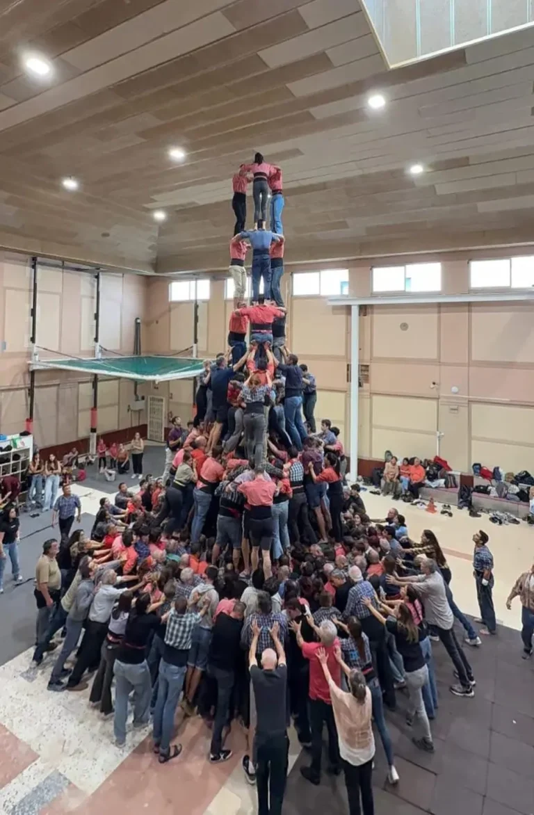 Què ha estat el més llegit a la Revista Castells en els últims 12 mesos?